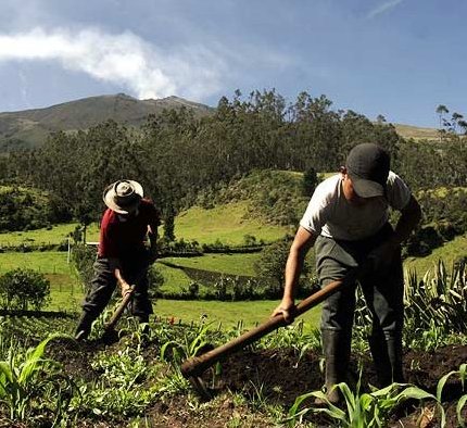 Galeras Volcano Eruption: February 14, 2009