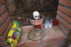 'Skull shrine' in Jared Loughner's backyard