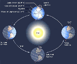 Seasonal Variations in the Earth's Orientation