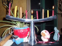 Hanukkah candles in the menorah