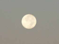 Full Moon on Sukkot