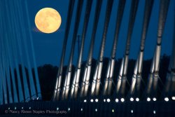 Full moon July 12, 2014, over Penobscot Narrows Bridge, Maine