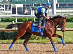 American Pharoah, winner of the Triple Crown, ridden by jockey Victor Espinoza