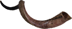 shofar or ram's horn