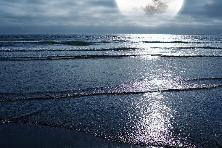 Moon's gravitational pull causes tides.