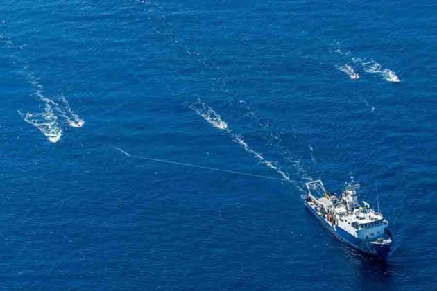 In 2013, Scripps research vessel New Horizon towed a hydrophone array to map the bathymetry of the Newport-Inglewood/Rose Canyon fault zone. Credit: Scripps Institution of Oceanography at UC San Diego