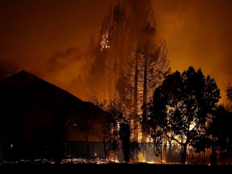 Trees burn behind houses in a residential area in Santa Rosa, Calif., Oct. 9, 2017.