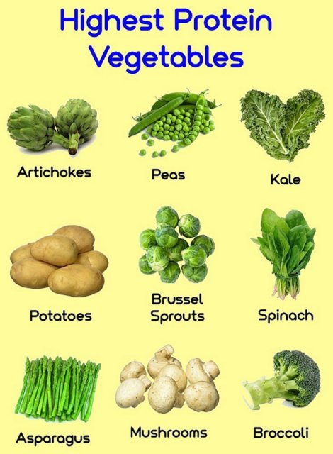 Highest protein vegetables