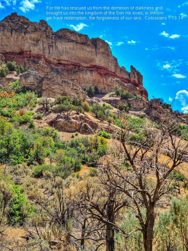 Colossians 1:13,14