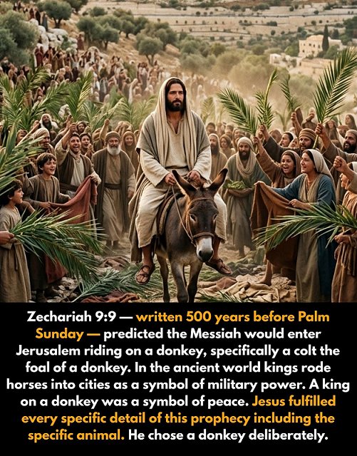 Jesus on a colt