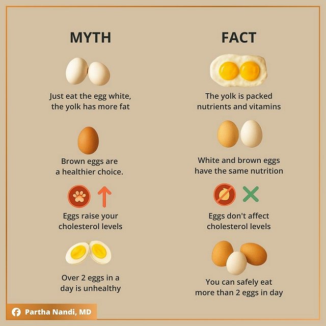 Eggs myths facts