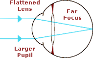 Accommodation of the Crystalline Lens