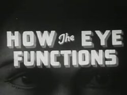 How the Eye Functions