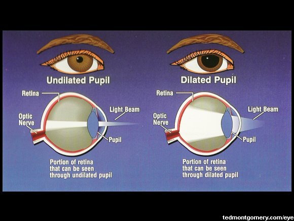 Pupil Dilation