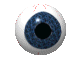 Eyeball 2: 80 x 60