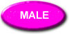 Male: 100 x 49