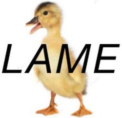 Lame duck = President Obama