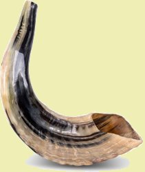 shofar or ram's horn