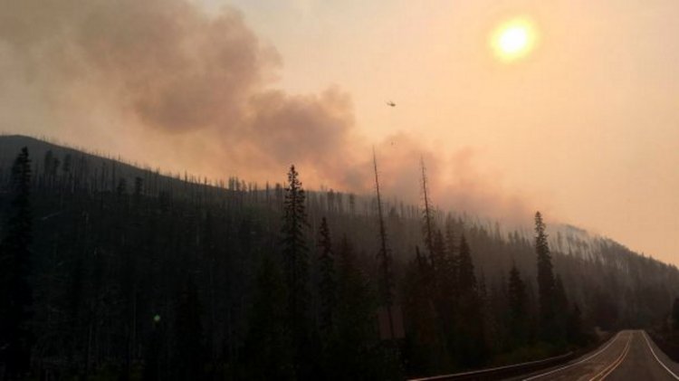 Wildfire smoke