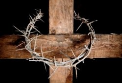 Christ's crown of thorns on the cross