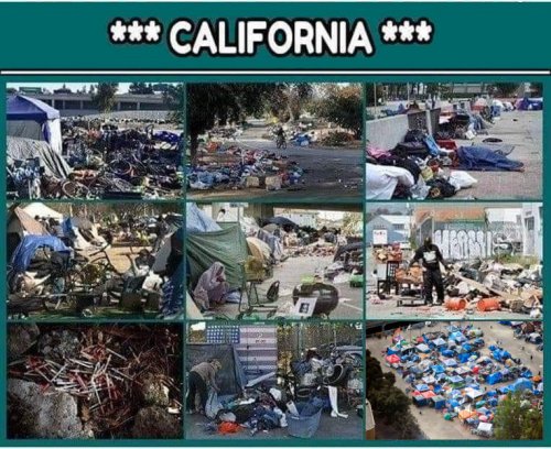 Homeless crisis in California
