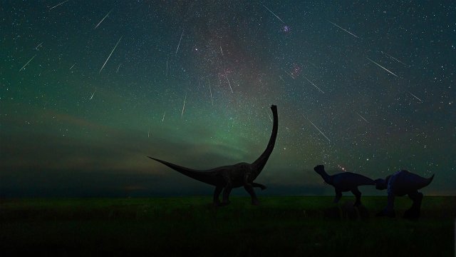 Dinosaurs watching the Perseids
