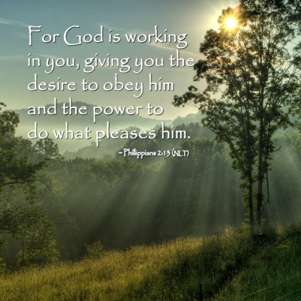 God is working in you