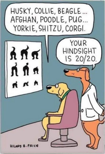 Dog hindsight