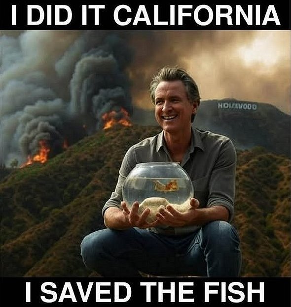 Newsom saved the fish