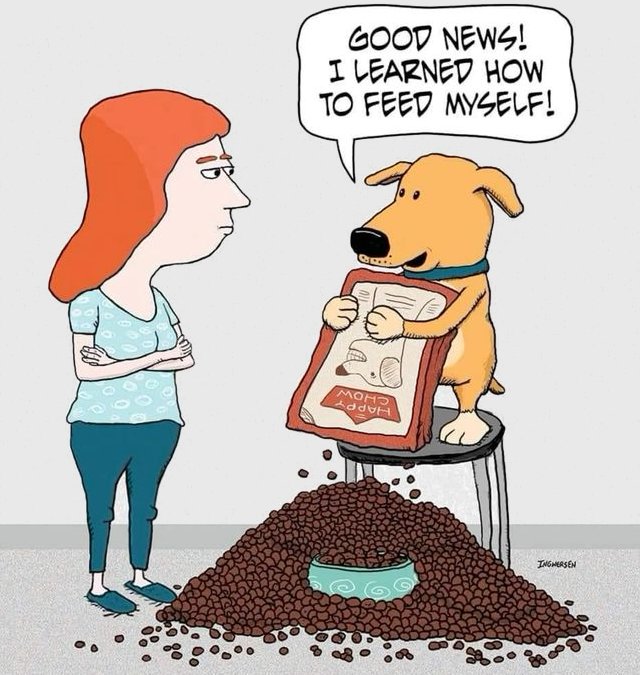 Dog feed myself