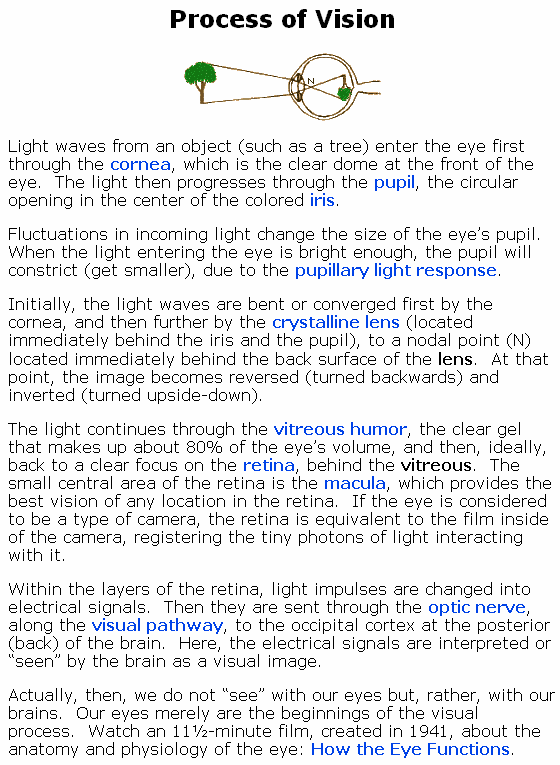 Vision Application Process Process of Vision